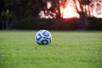 樊振东加盟德甲1周年，改变历史的决定（配图示意）